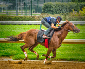 Churchill Downs, Horses, Kentucky, Jockeys,Derby