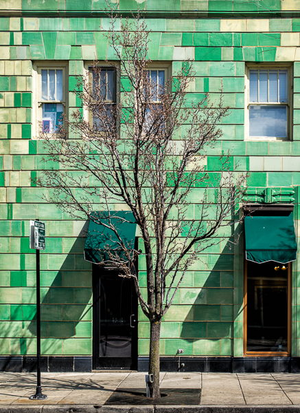 Spring Green Building with a tree, along Bryn Mawr